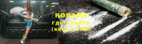 стаф Белокуриха