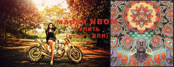 стаф Белокуриха