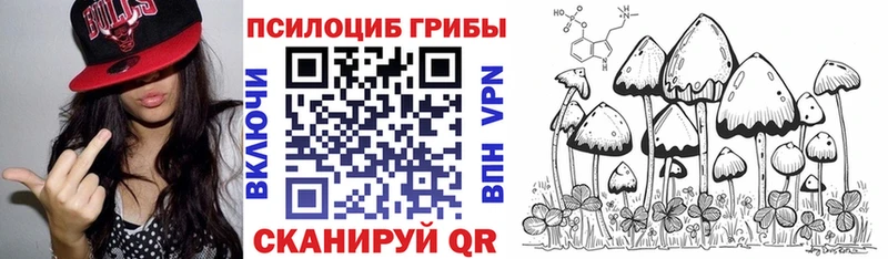 Псилоцибиновые грибы мицелий  Кыштым 